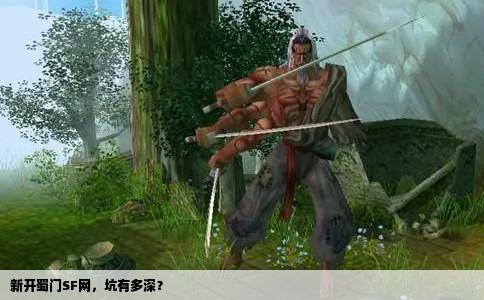 新开蜀门SF网，坑有多深？